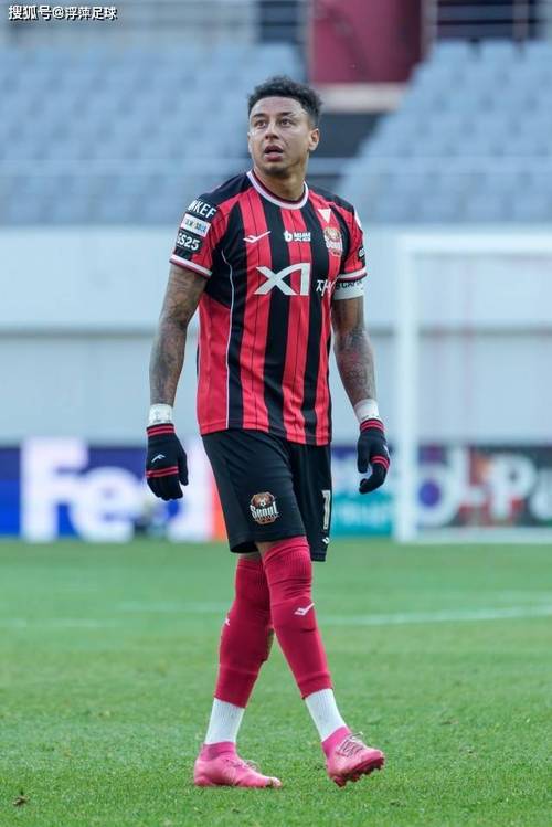 邮报：费耶诺德考虑签约自由球员林加德，或与范佩西重聚