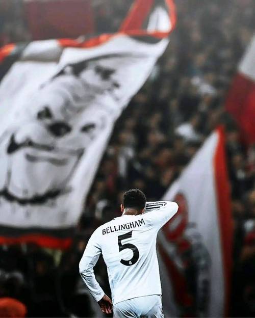 贝林厄姆可能缺席三月赛事，国家队世界杯备战蒙阴影