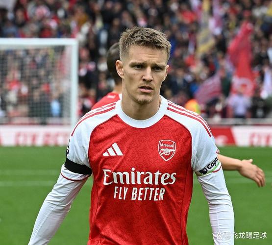阿森纳队长厄德高疑似受伤，接下来比赛登场仍为未知数