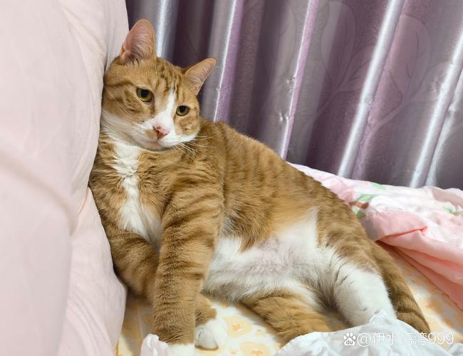 为何染红？齐沃称卡卢卢未及时收手致犯规