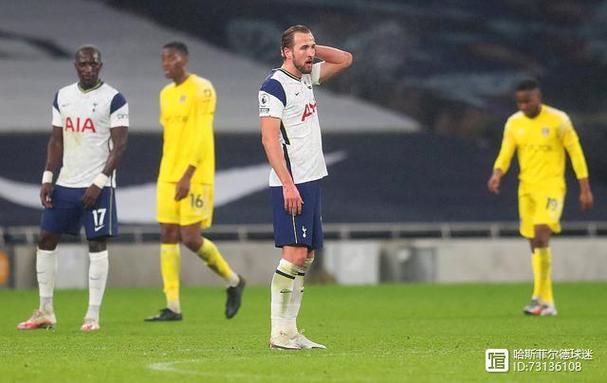 热刺老年球迷季票优惠逐步取消，基础票价稳定