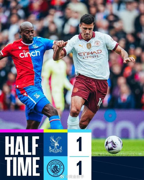 客场战平欧协联附加赛，水晶宫球迷不满高喊格拉斯纳下课