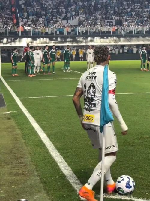 不止于言论！帕尔梅拉斯主帅强调以行动根除种族歧视