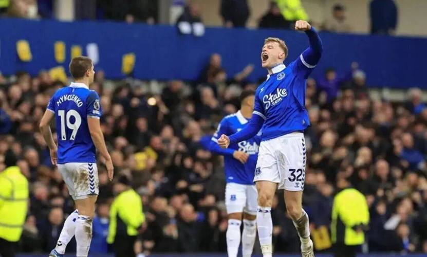 纽卡vs埃弗顿半场1-2 布兰斯维特头球破门波普失误